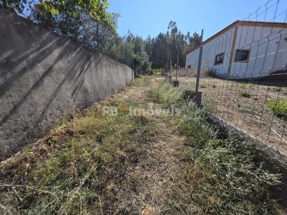 Terreno Agricola ou Rústico para Venda em Serra e Junceira Foto 11