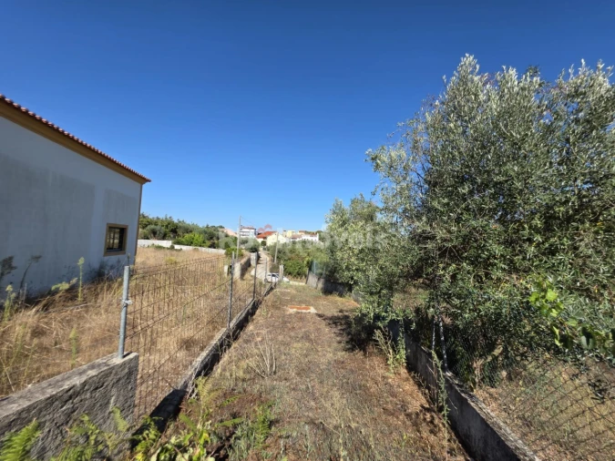 Terreno Agricola ou Rústico para Venda em Serra e Junceira Foto 5