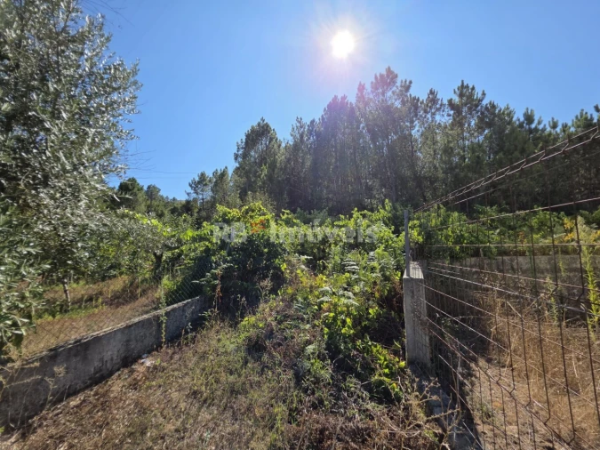Terreno Agricola ou Rústico para Venda em Serra e Junceira Foto 10