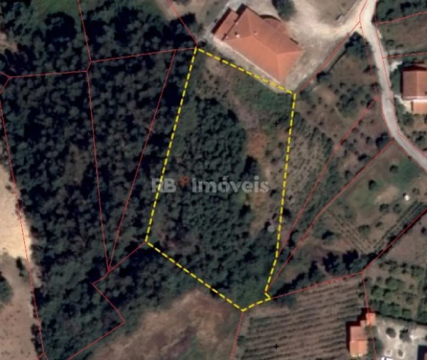 Terreno Agricola ou Rústico para Venda em Serra e Junceira