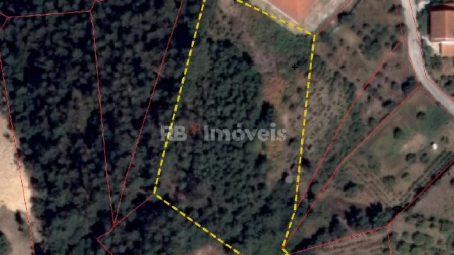 Terreno Agricola ou Rústico para Venda em Serra e Junceira