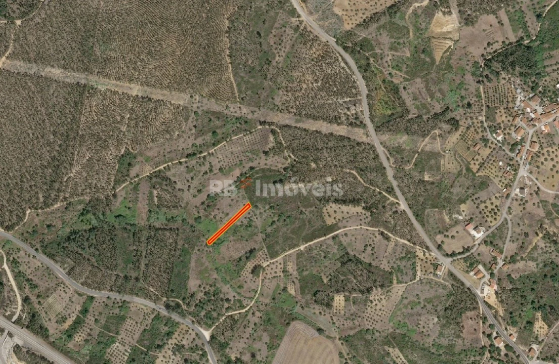 Terreno Agricola ou Rústico para Venda em Sabacheira Foto 1