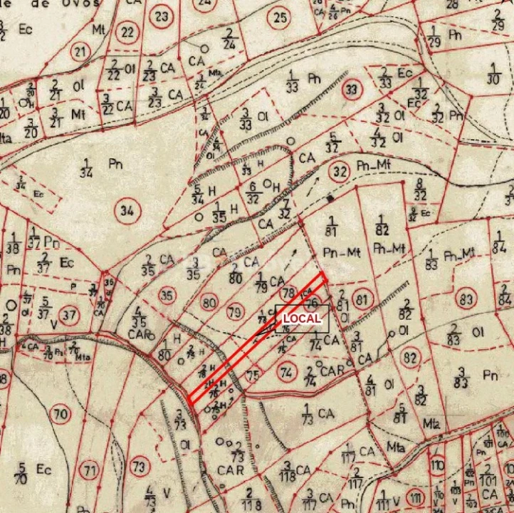 Terreno Agricola ou Rústico para Venda em Sabacheira Foto 4