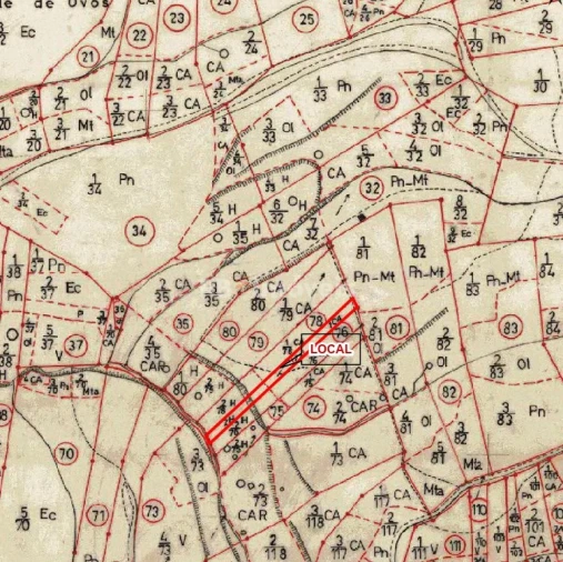 Terreno Agricola ou Rústico para Venda em Sabacheira Foto 4