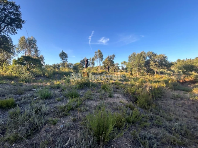 Terreno Agricola ou Rústico para Venda em Sabacheira Foto 2