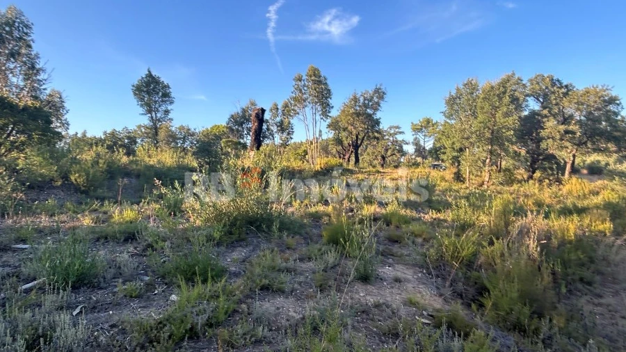 Terreno Agricola ou Rústico para Venda em Sabacheira