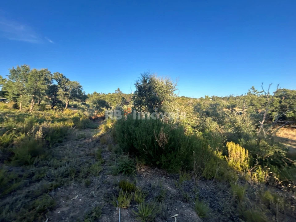 Terreno Agricola ou Rústico para Venda em Sabacheira Foto 12