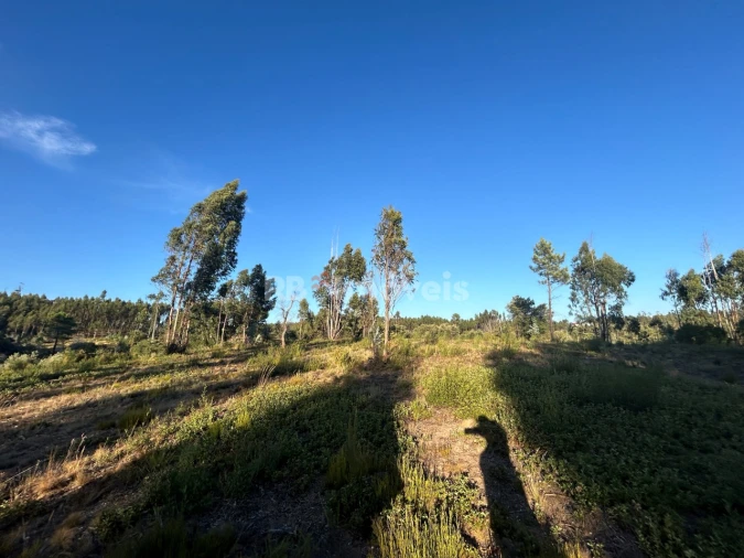 Terreno Agricola ou Rústico para Venda em Sabacheira Foto 8