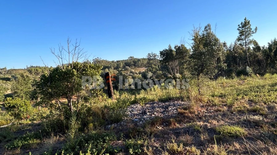 Terreno Agricola ou Rústico para Venda em Sabacheira