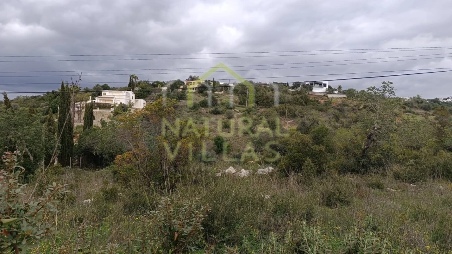 Terreno Agricola ou Rústico para Venda em Santa Barbara de Nexe Foto 2