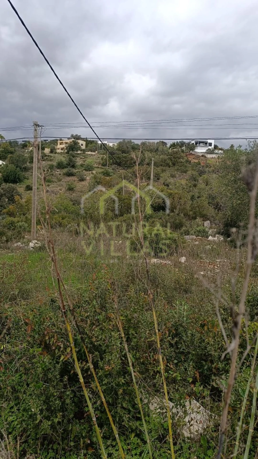 Terreno Agricola ou Rústico para Venda em Santa Barbara de Nexe Foto 3