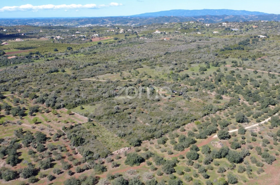 Terreno para Venda em Silves Foto 14