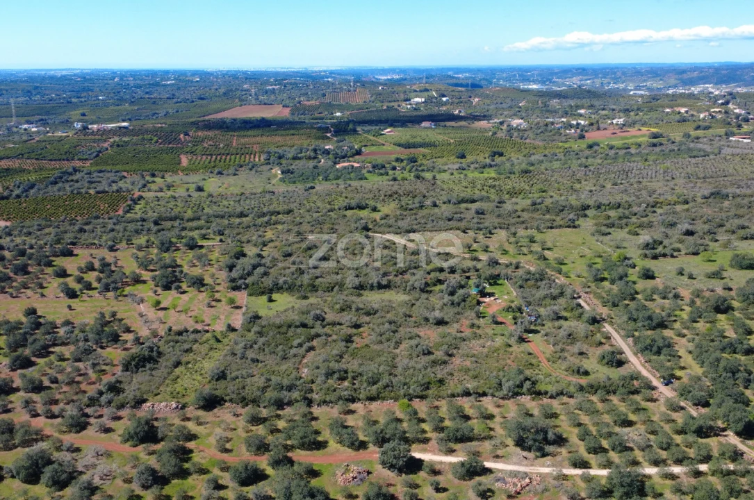 Terreno para Venda em Silves Foto 10