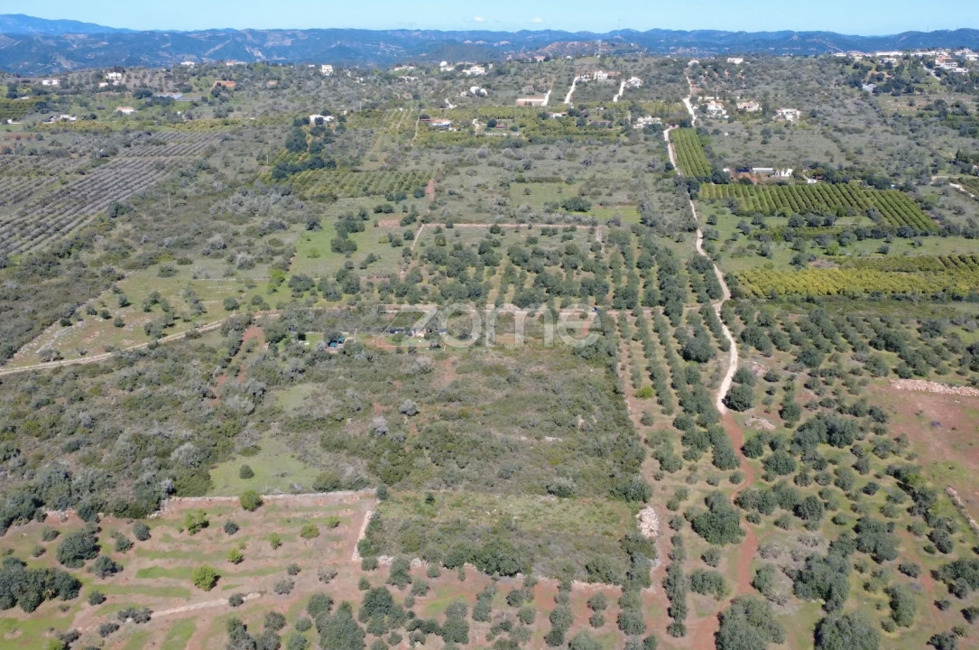 Terreno para Venda em Silves Foto 13