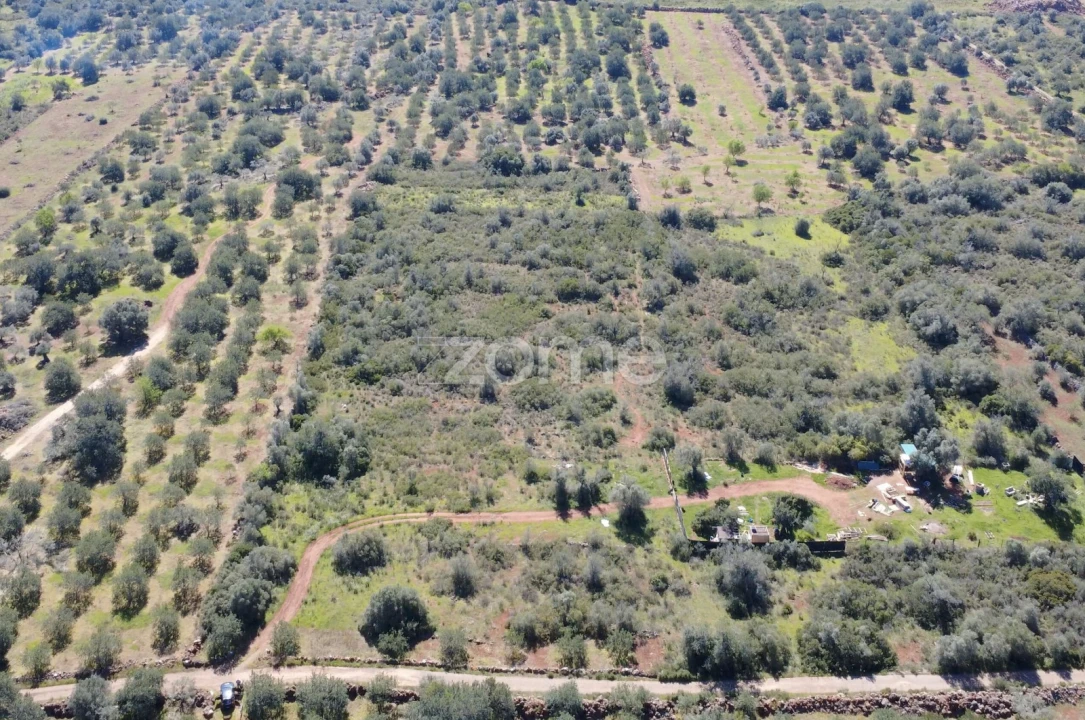 Terreno para Venda em Silves Foto 15