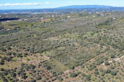 Terreno para Venda em Silves