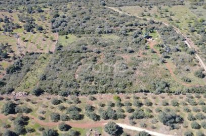 Terreno para Venda em Silves
