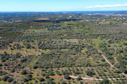 Terreno para Venda em Silves