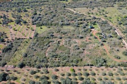 Terreno para Venda em Silves