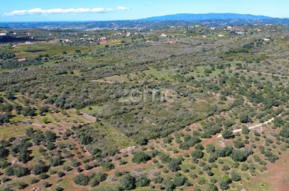 Terreno para Venda em Silves