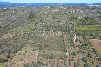Terreno para Venda em Silves