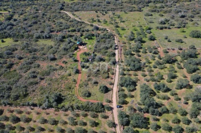 Terreno para Venda em Silves
