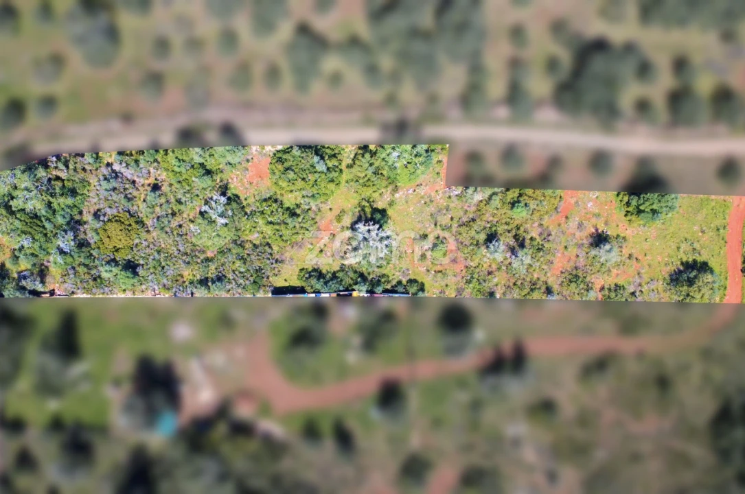 Terreno para Venda em Silves Foto 2
