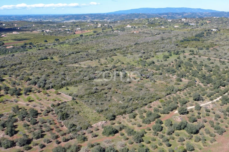 Terreno para Venda em Silves Foto 14