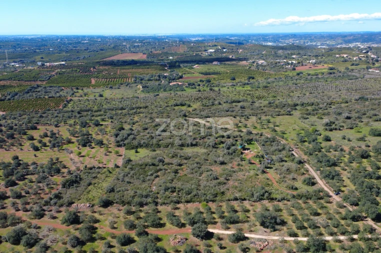 Terreno para Venda em Silves Foto 10
