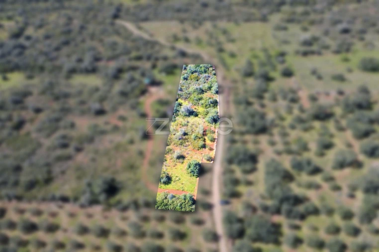 Terreno para Venda em Silves Foto 3