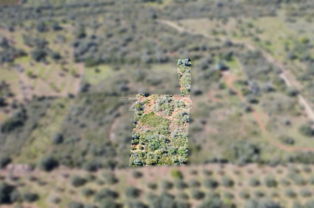 Terreno para Venda em Silves Foto 1