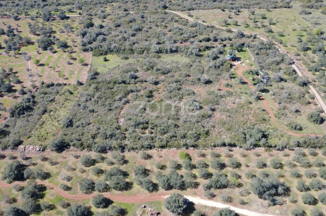 Terreno para Venda em Silves Foto 4