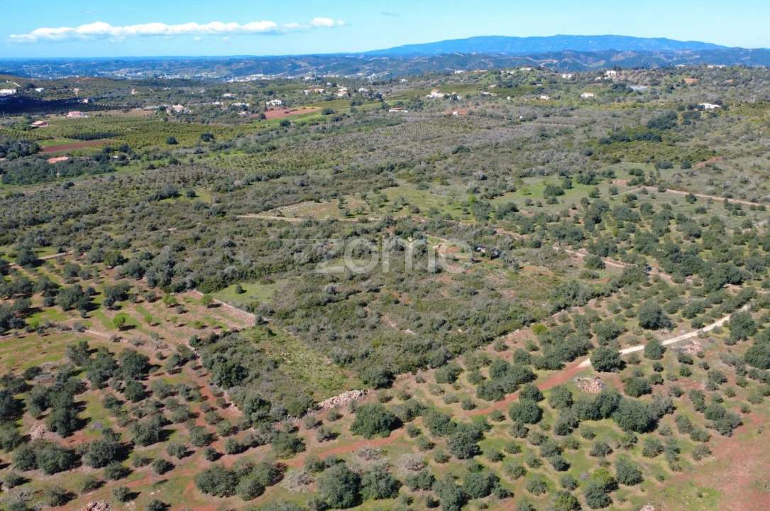 Terreno para Venda em Silves Foto 8