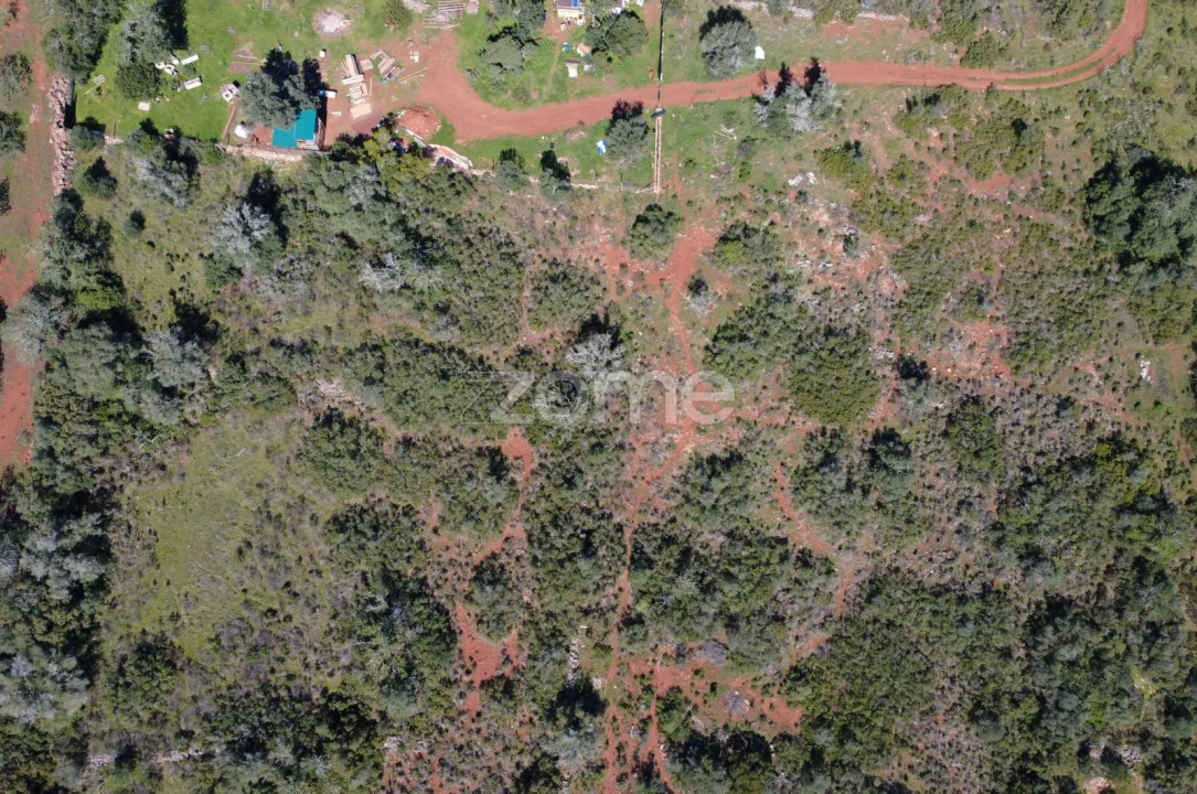 Terreno para Venda em Silves Foto 13