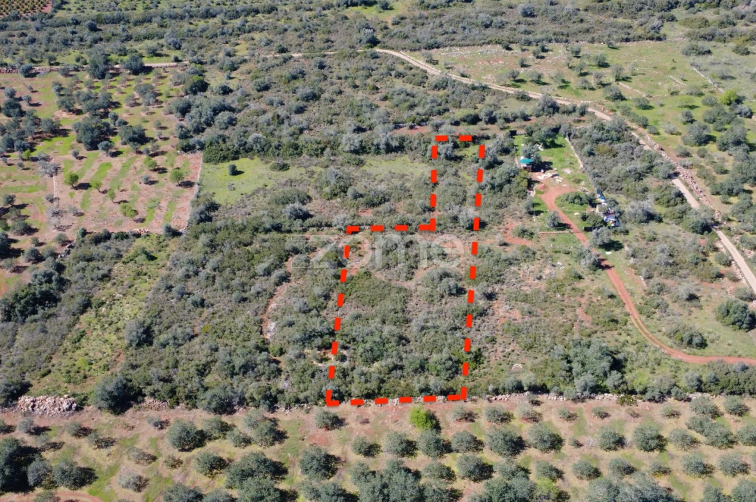 Terreno para Venda em Silves Foto 2