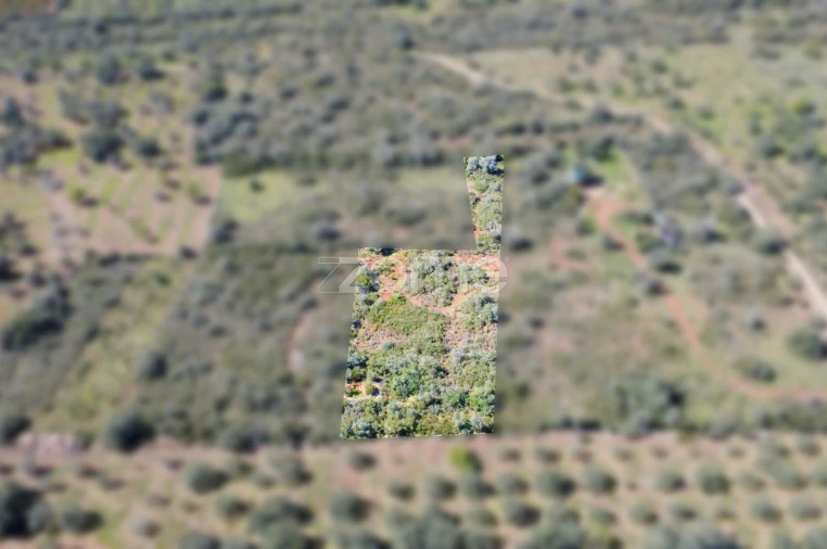 Terreno para Venda em Silves Foto 1