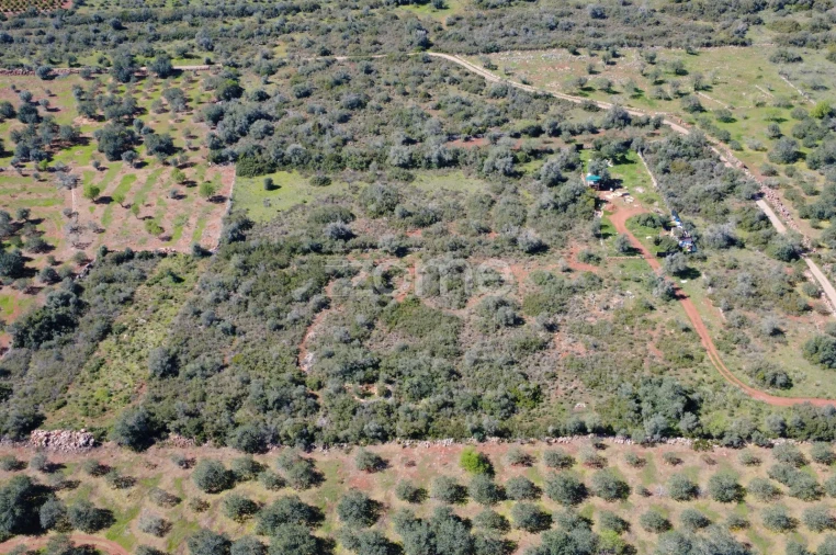 Terreno para Venda em Silves Foto 7