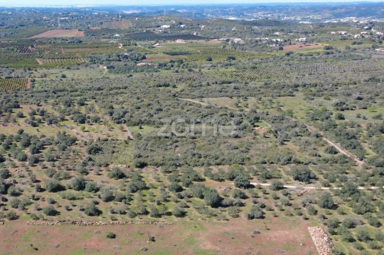 Terreno para Venda em Silves Foto 11