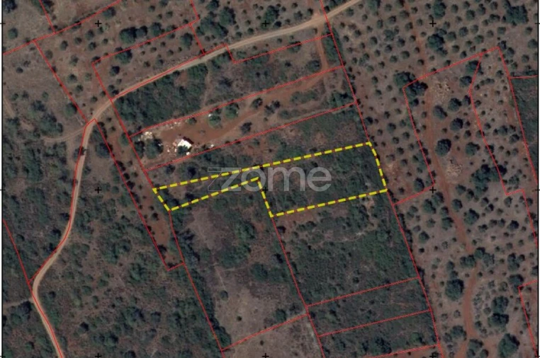 Terreno para Venda em Silves Foto 15