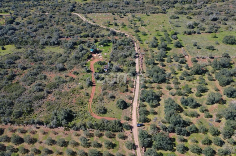 Terreno para Venda em Silves Foto 14