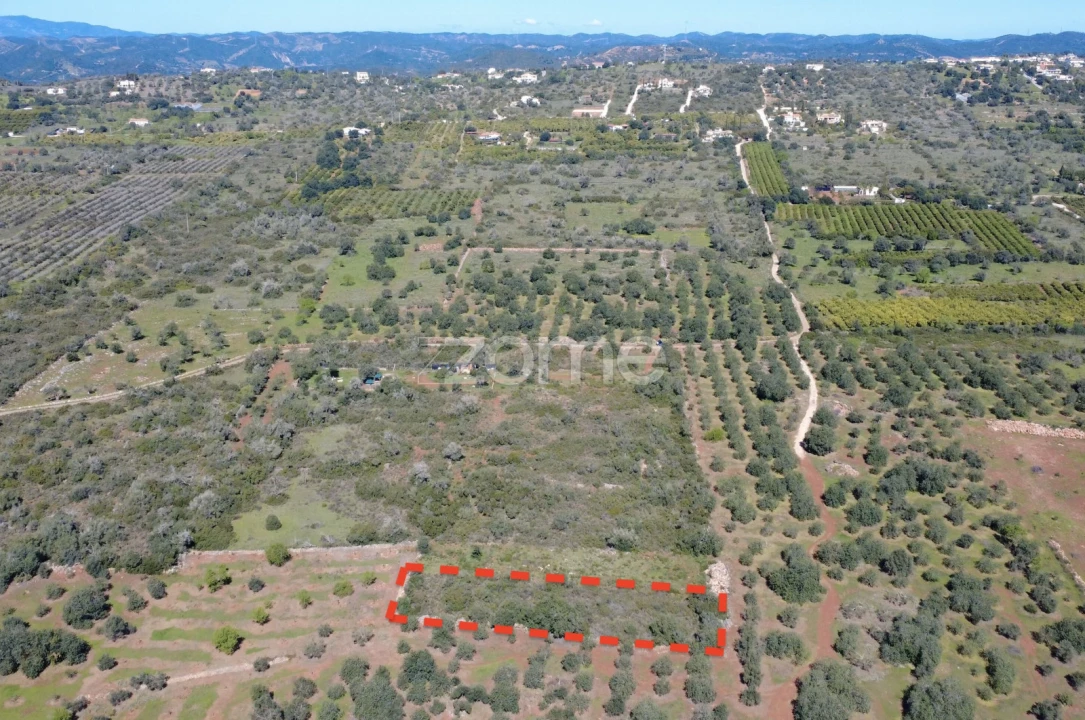 Terreno para Venda em Silves Foto 1