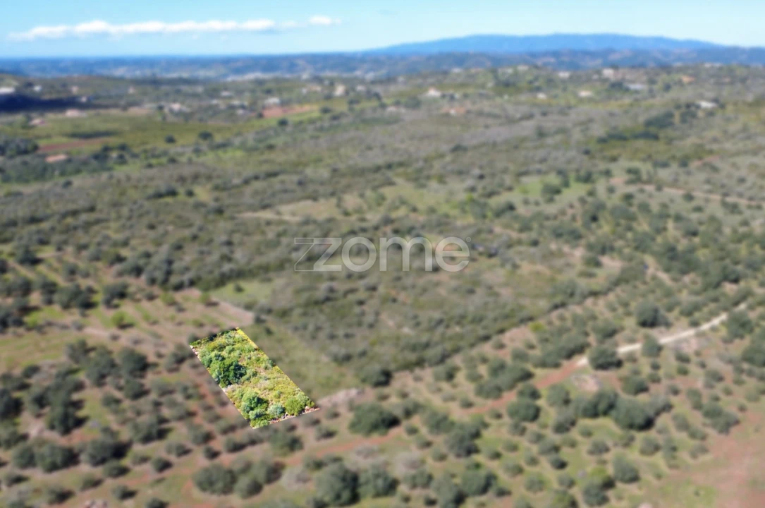 Terreno para Venda em Silves Foto 3