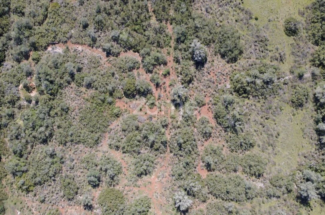 Terreno para Venda em Silves Foto 16