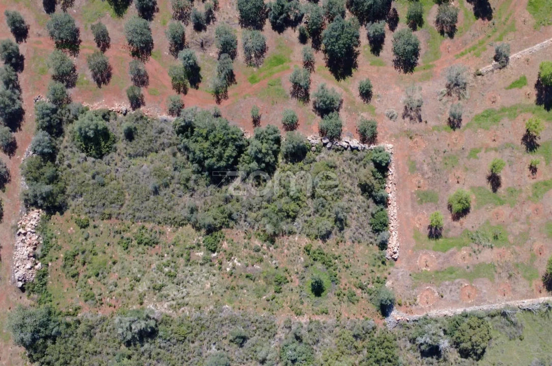 Terreno para Venda em Silves Foto 4