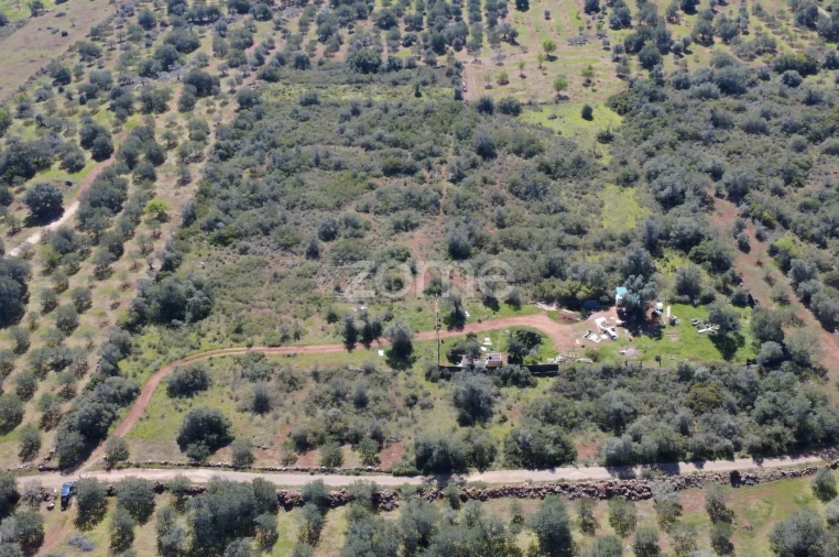 Terreno para Venda em Silves Foto 14