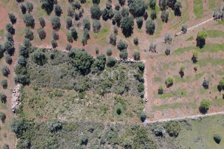 Terreno para Venda em Silves Foto 15