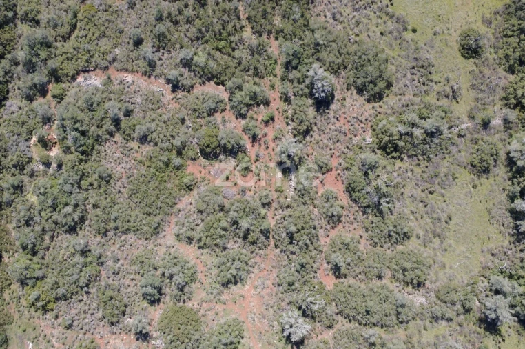 Terreno para Venda em Silves Foto 16