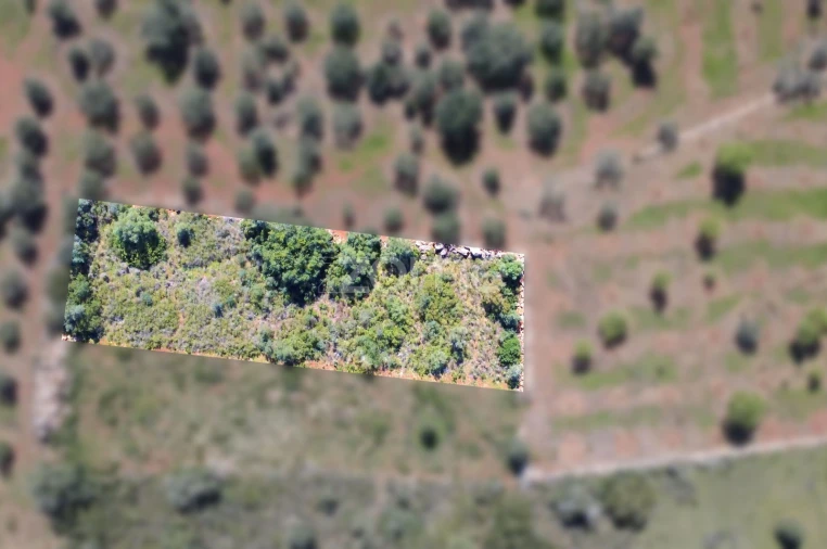 Terreno para Venda em Silves Foto 2