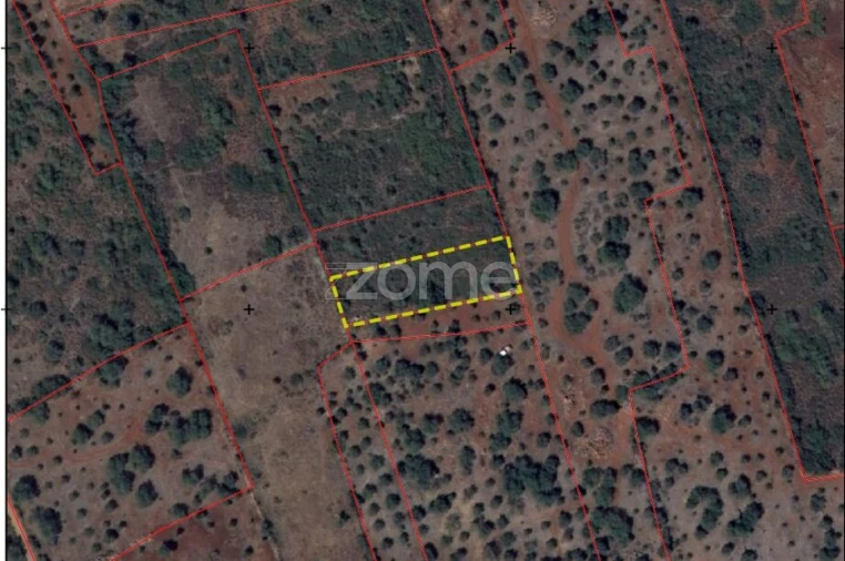 Terreno para Venda em Silves Foto 17