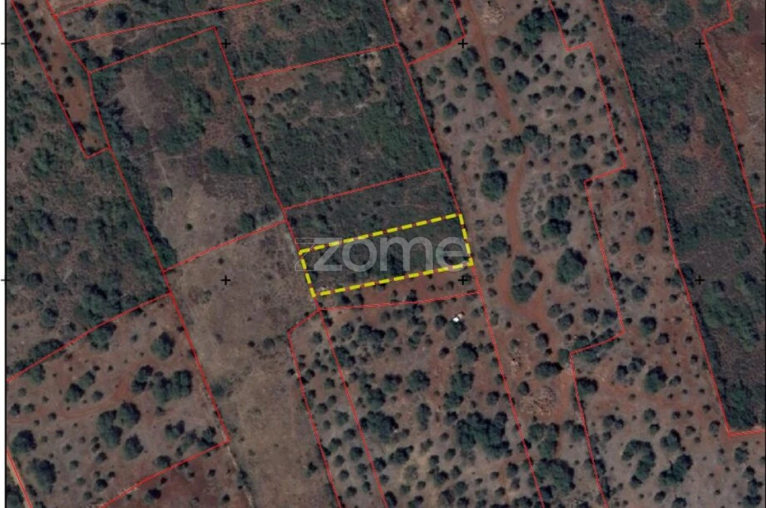 Terreno para Venda em Silves Foto 17